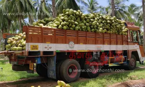 வெளிமாநிலங்களுக்கு தினமும் 5 லட்சம் இளநீர்