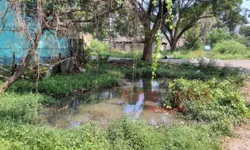 குளம்போல் தேங்கி நிற்கும் கழிவுநீர்