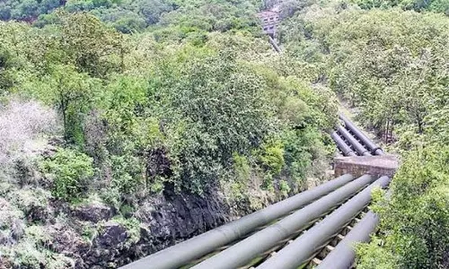 லோயர்கேம்ப் நீர்மின் நிலையத்தில் 2 ஜெனரேட்டர்கள் மூலம் மின்சாரம் உற்பத்தி