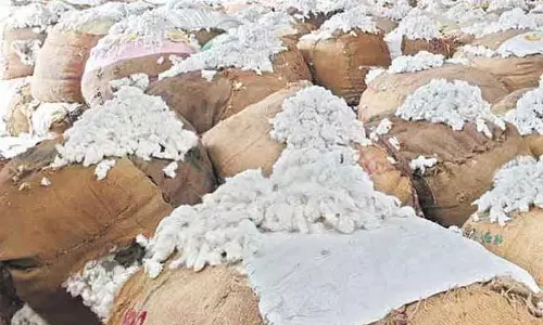 கொங்கணாபுரத்தில்  ரூ.40 லட்சத்துக்கு பருத்தி ஏலம்