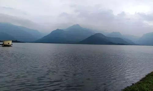 பழனி பாலாறு-பொருந்தலாறு, வரதமாநதி அணை பகுதியில்  புதர்மண்டி கிடக்கும் பூங்காக்கள் புத்துயிர் பெறுமா?