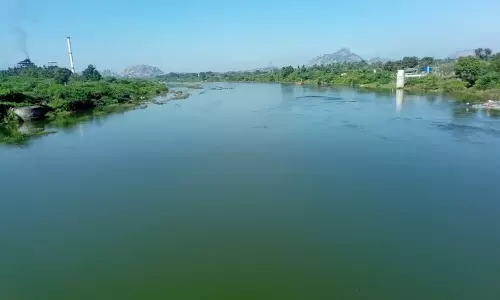 தென்பெண்ணை ஆற்றின் குறுக்கே தடுப்பணை கட்ட வேண்டும்