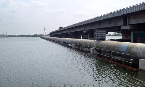 போரூர் ஏரியில் குதித்து வாலிபர் தற்கொலை - தொழிலில் ஏற்பட்ட நஷ்டத்தால் விபரீத முடிவு