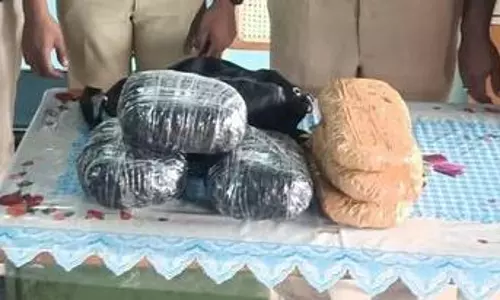 ஆந்திராவில் இருந்து மதுரைக்கு ரெயிலில் கஞ்சா கடத்தல்