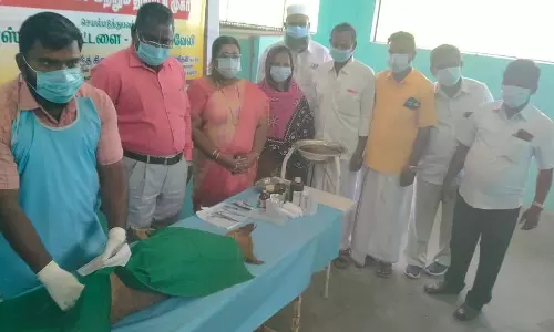 தெரு நாய்களுக்கு கருத்தடை அறுவை சிகிச்சை