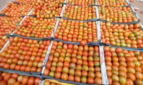 வரத்து குறைந்ததால் கிணத்துக்கடவு காய்கறி சந்தையில் தக்காளி விலை கிடுகிடு உயர்வு