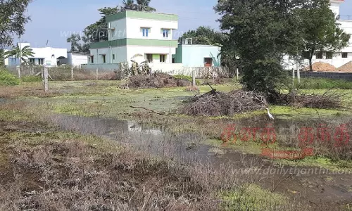 இது நம்ம வார்டு-3 குடியிருப்பு பகுதியில் மழைநீர் வடிகால் வசதி ஏற்படுத்தப்படுமா? பொதுமக்கள் எதிர்பார்ப்பு இது நம்ம வார்டு-3 குடியிருப்பு பகுதியில் மழைநீர் வடிகால் வசதி ஏற்படுத்தப்படுமா? பொதுமக்கள் எதிர்பார்ப்பு