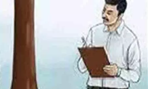 பள்ளி செல்லா குழந்தைகள் கணக்கெடுக்கப்பு பள்ளி செல்லா குழந்தைகள் கணக்கெடுக்கப்பு