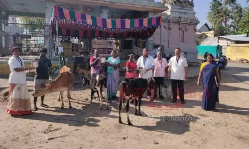 கால்நடை சுகாதார விழிப்புணர்வு- சிகிச்சை முகாம் கால்நடை சுகாதார விழிப்புணர்வு- சிகிச்சை முகாம்