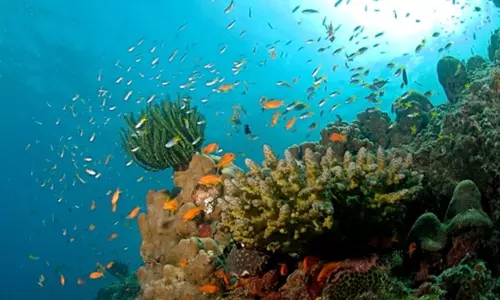 ஆழ்கடலுக்குள் மனிதனை அனுப்பும்  சமுத்ராயன் திட்டம்  2026-ல் நிறைவுபெறும் - மத்திய அரசு