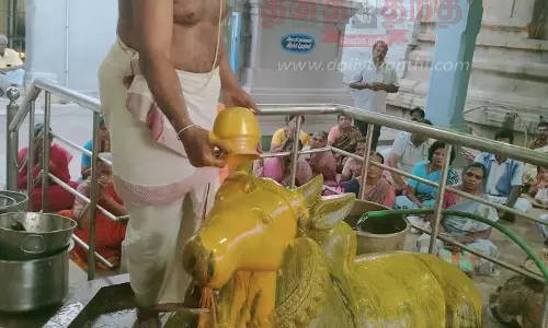 பிரதோஷத்தையொட்டிமோகனூர் அசலதீபேஸ்வரர் கோவிலில் சிறப்பு அபிஷேகம்
