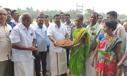 வாய்க்கால் தூர்வாரும் பணி