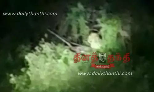 பண்ணாரி சோதனை சாவடி அருகே மரத்தில் உட்கார்ந்திருந்த சிறுத்தை; நேரில் பார்த்த போலீசார் அதிர்ச்சி