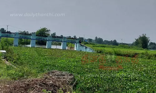 தண்ணீருக்கு பதிலாக ஆகாயத்தாமரைகளாக காட்சி அளிக்கும் ஆறுகள் தண்ணீருக்கு பதிலாக ஆகாயத்தாமரைகளாக காட்சி அளிக்கும் ஆறுகள்