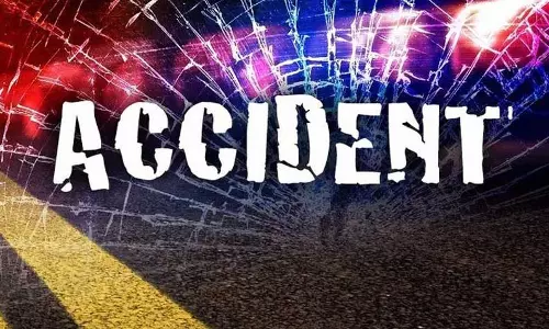 பொள்ளாச்சி அருகே பரிதாபம்:மோட்டார் சைக்கிளில் இருந்து தவறி விழுந்த பெயிண்டர் சாவு