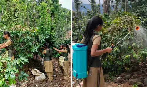 வேளாண் கல்லூரி மாணவிகள் பயிற்சி