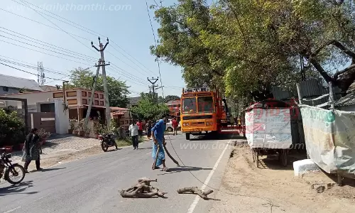மர லோடு உரசியதால் மின்கம்பி அறுந்தது