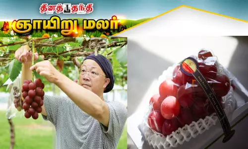 உலகின் விலை உயர்ந்த திராட்சை