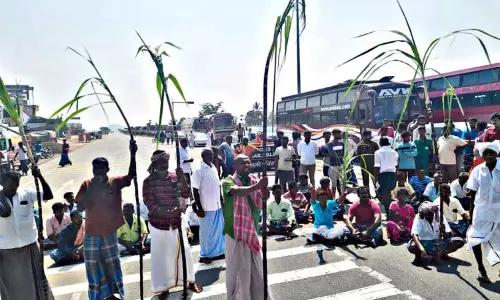 பொங்கல் பரிசு தொகுப்புடன் கரும்பு வழங்க கோரி விவசாயிகள் திடீர் சாலை மறியல்...! பொங்கல் பரிசு தொகுப்புடன் கரும்பு வழங்க கோரி விவசாயிகள் திடீர் சாலை மறியல்...!