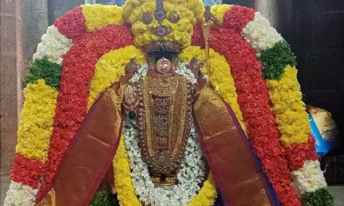 திருவந்திபுரம்தேவநாத சுவாமி கோவிலில் பகல் பத்து உற்சவம்