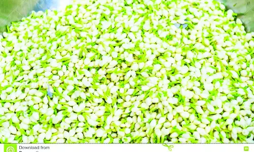 கிறிஸ்துமஸ் பண்டிகையையொட்டி தோவாளை மார்க்கெட்டில் பூக்கள் விலை உயர்வு