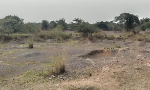 10 ஆண்டுகளாக வறண்டு கிடக்கும் நல்லாண் பிள்ளை பெற்றாள் ஏரி