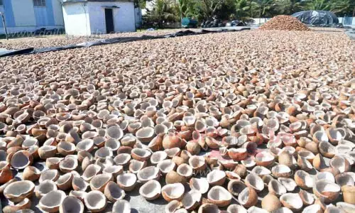 மத்திய அரசின் அறிவிப்பு ஏமாற்றம் அளிக்கிறது: கொப்பரை தேங்காய் கிலோ ரூ.150-க்கு கொள்முதல்-விவசாயிகள் வலியுறுத்தல்