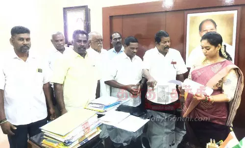 கிறிஸ்துமஸ் கொண்டாட்டம் கிறிஸ்துமஸ் கொண்டாட்டம்