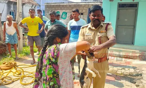 50 அடி ஆழ கிணற்றில் விழுந்த பூனை மீட்பு