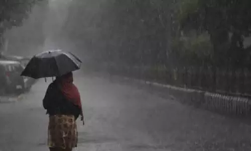 திண்டுக்கல், பழனியில் சாரல் மழை