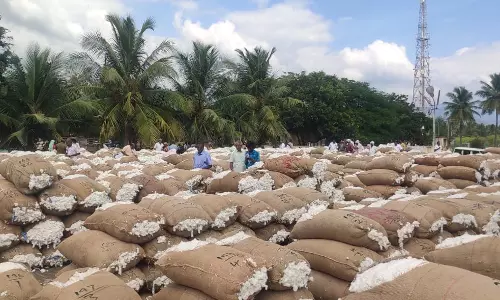 ரூ.55 லட்சத்திற்கு பருத்தி ஏலம்