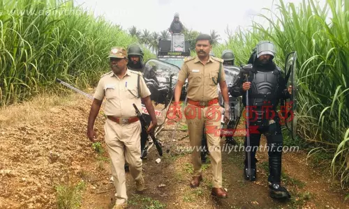 தாளவாடி அருகே கரும்பு தோட்டத்துக்குள் புகுந்த சிறுத்தை; கூண்டு வைத்து பிடிக்க பொதுமக்கள் கோரிக்கை