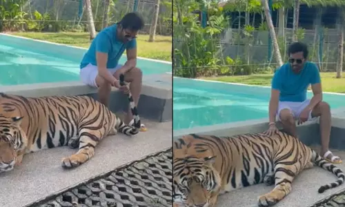 புலியுடன்  வீடியோ எடுத்து விமர்சனத்திற்கு ஆளான நடிகர் சந்தானம்