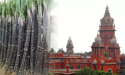 பொங்கல் பரிசு தொகுப்புடன் கரும்பும் வழங்கக் கோரிய வழக்கு ஜன.2-ம் தேதிக்கு ஒத்திவைப்பு - சென்னை ஐகோர்ட்டு உத்தரவு
