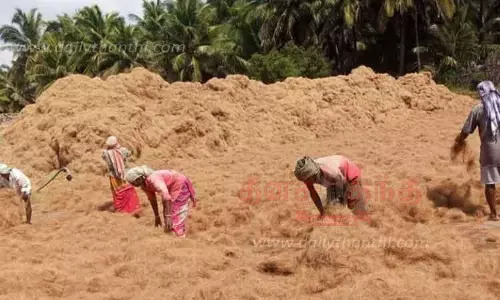 தென்னை நாரை உலர வைக்கும் பணி மும்முரம்