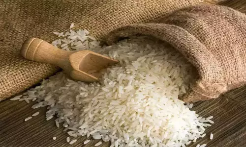 நடப்பு நிதியாண்டில் பாஸ்மதி மற்றும் பாஸ்மதி அல்லாத அரிசி ஏற்றுமதி 7.37 சதவீதம் உயர்வு நடப்பு நிதியாண்டில் பாஸ்மதி மற்றும் பாஸ்மதி அல்லாத அரிசி ஏற்றுமதி 7.37 சதவீதம் உயர்வு