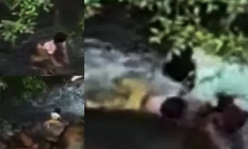 பழைய குற்றால அருவியின் ஆற்றில் அடித்துச் செல்லப்பட்ட குழந்தையை துணிச்சலாக மீட்ட வாலிபர்...!