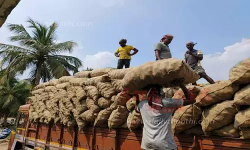 ஆனைமலை விற்பனைக்கூடத்தில் 1,226 டன் கொப்பரை தேங்காய் கொள்முதல்-அதிகாரிகள் தகவல் ஆனைமலை விற்பனைக்கூடத்தில் 1,226 டன் கொப்பரை தேங்காய் கொள்முதல்-அதிகாரிகள் தகவல்