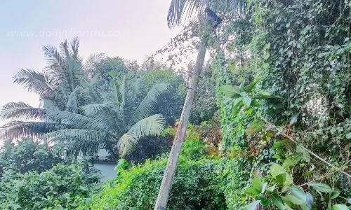 சாய்ந்த நிலையில் மின்கம்பம்