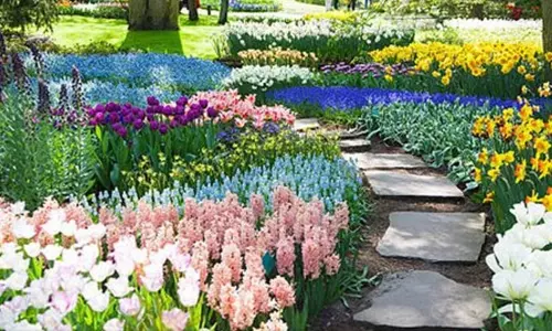 செங்கல்பட்டில் ரூ.300 கோடியில் தாவரவியல் பூங்கா - தமிழக அரசு அரசாணை