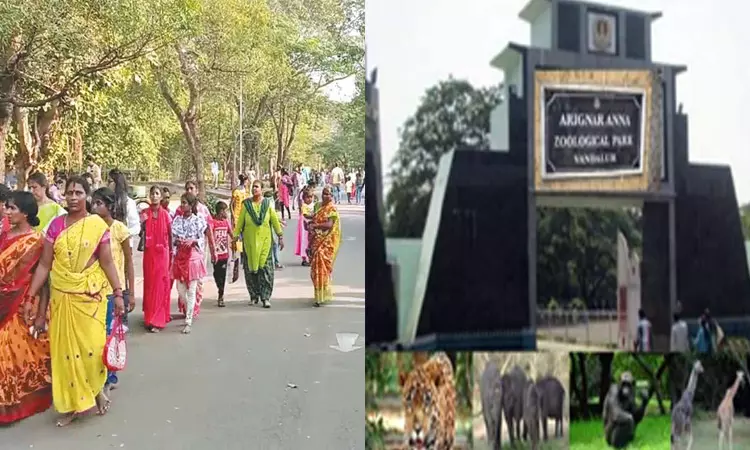 கடந்த 8 நாட்களில் 1 லட்சம் பார்வையாளர்கள் திரண்டனர்; வண்டலூர் பூங்காவில் பொதுமக்கள் கூட்டம் அலைமோதியது கடந்த 8 நாட்களில் 1 லட்சம் பார்வையாளர்கள் திரண்டனர்; வண்டலூர் பூங்காவில் பொதுமக்கள் கூட்டம் அலைமோதியது