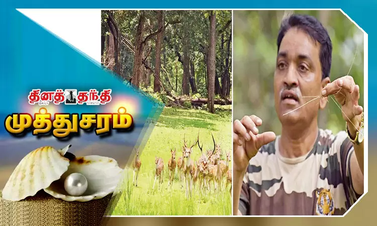 புல் மனிதன் - டாக்டர் கஜானன் முராட்கர்