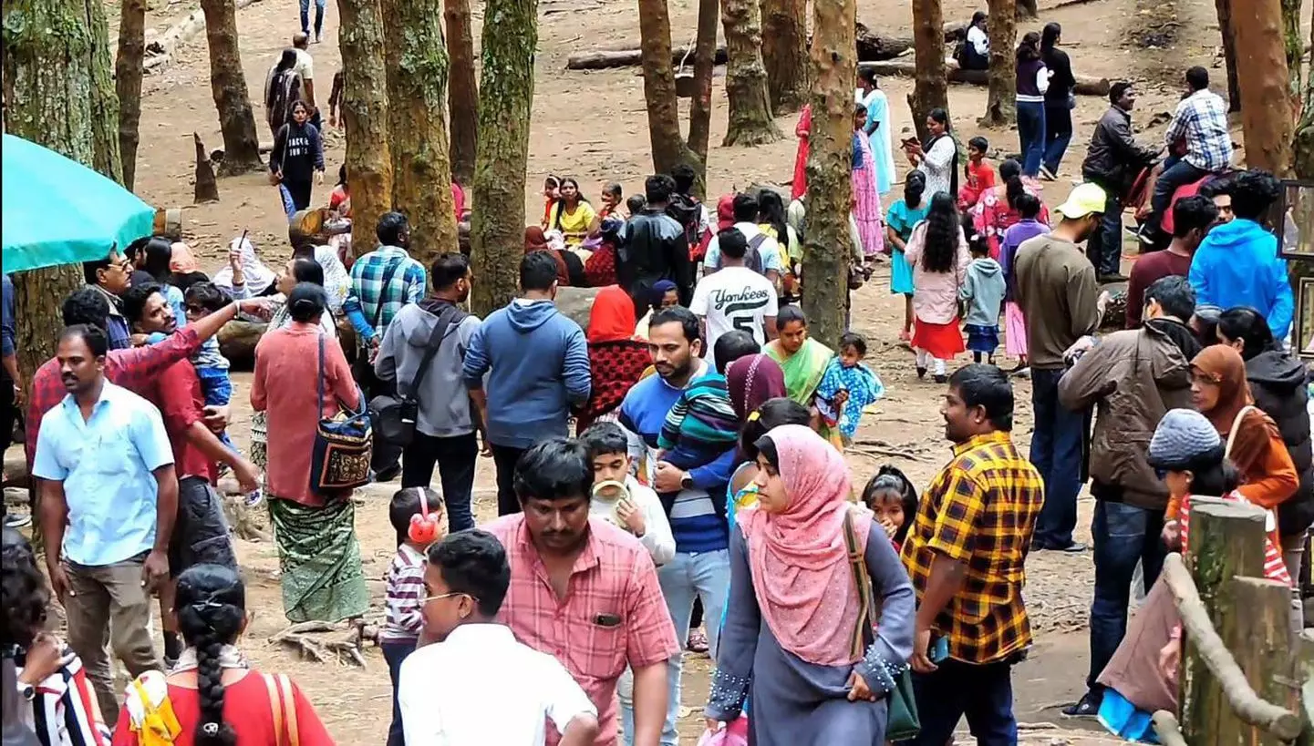 ஆங்கில புத்தாண்டை கொண்டாட கொடைக்கானலில் குவிந்த சுற்றுலா பயணிகள்