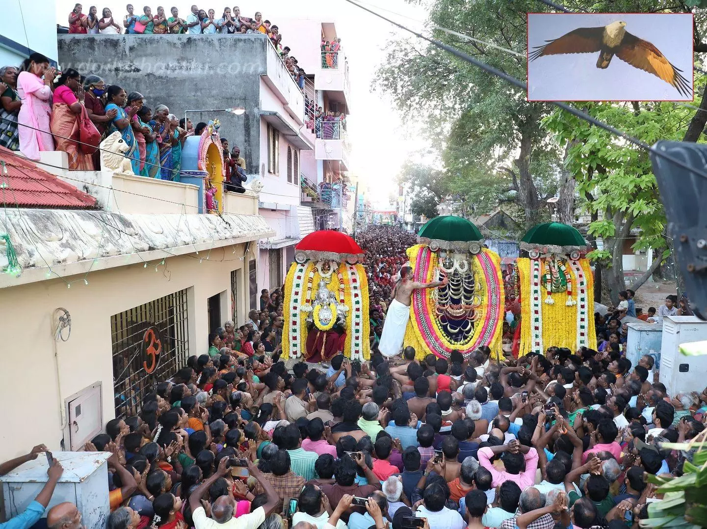 சுசீந்திரம் தாணுமாலயசாமி கோவிலில் கருட தரிசனம் திரளான பக்தர்கள் பங்கேற்பு