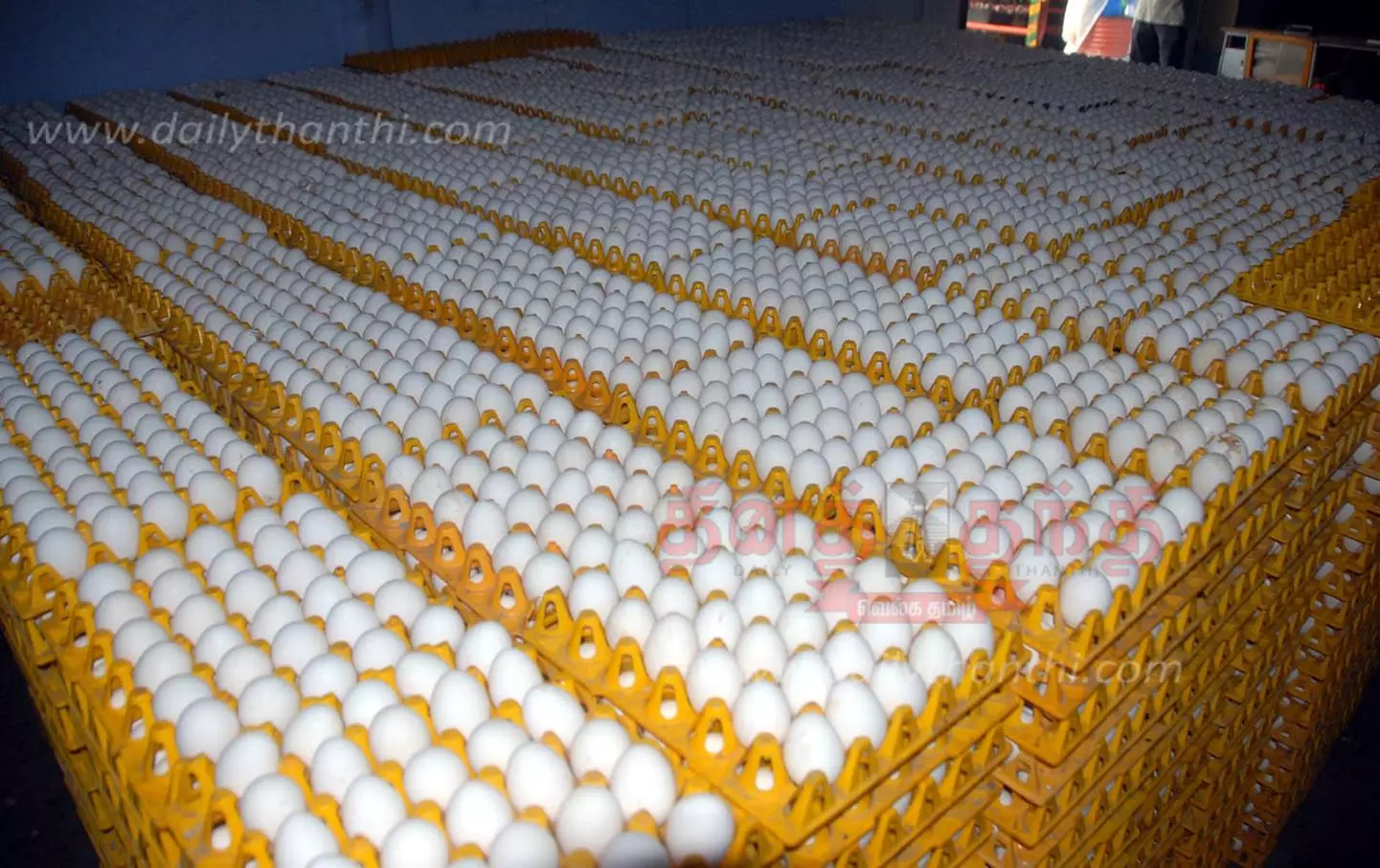 நாமக்கல் மண்டலத்தில்முட்டை விலை 555 காசுகளாக உயர்வுபுதிய உச்சத்தை தொட்டதால் பண்ணையாளர்கள் மகிழ்ச்சி நாமக்கல் மண்டலத்தில்முட்டை விலை 555 காசுகளாக உயர்வுபுதிய உச்சத்தை தொட்டதால் பண்ணையாளர்கள் மகிழ்ச்சி