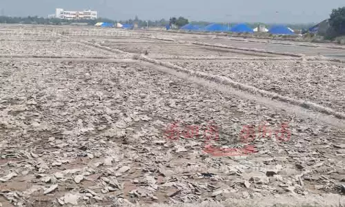 முன்கூட்டியே உப்பு உற்பத்தி தொடங்க திட்டம்