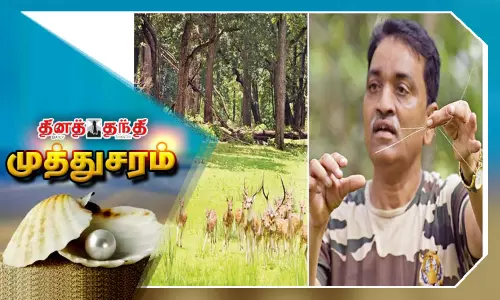 புல் மனிதன் - டாக்டர் கஜானன் முராட்கர்