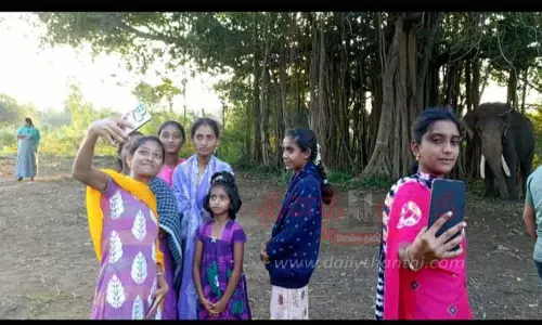 தாளவாடி அருகே கும்கி யானையை காண குவிந்த பொதுமக்கள் தாளவாடி அருகே கும்கி யானையை காண குவிந்த பொதுமக்கள்