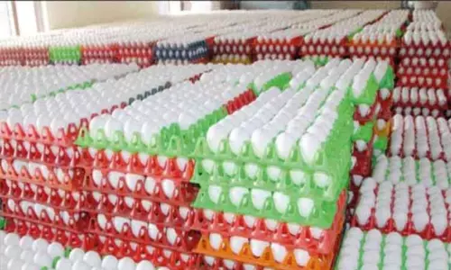 நாமக்கல்லில் முட்டை விலை வரலாறு காணாத உயர்வு..! நாமக்கல்லில் முட்டை விலை வரலாறு காணாத உயர்வு..!