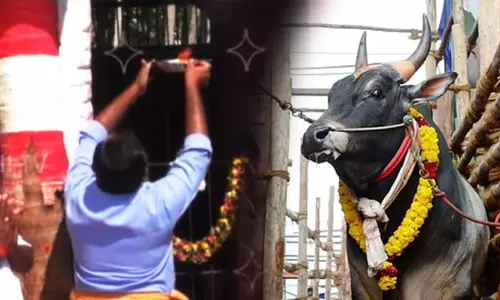 பூஜை போட்டாச்சு... ஆரம்பமாக போகும் காளைகளின் ஆட்டம்...!